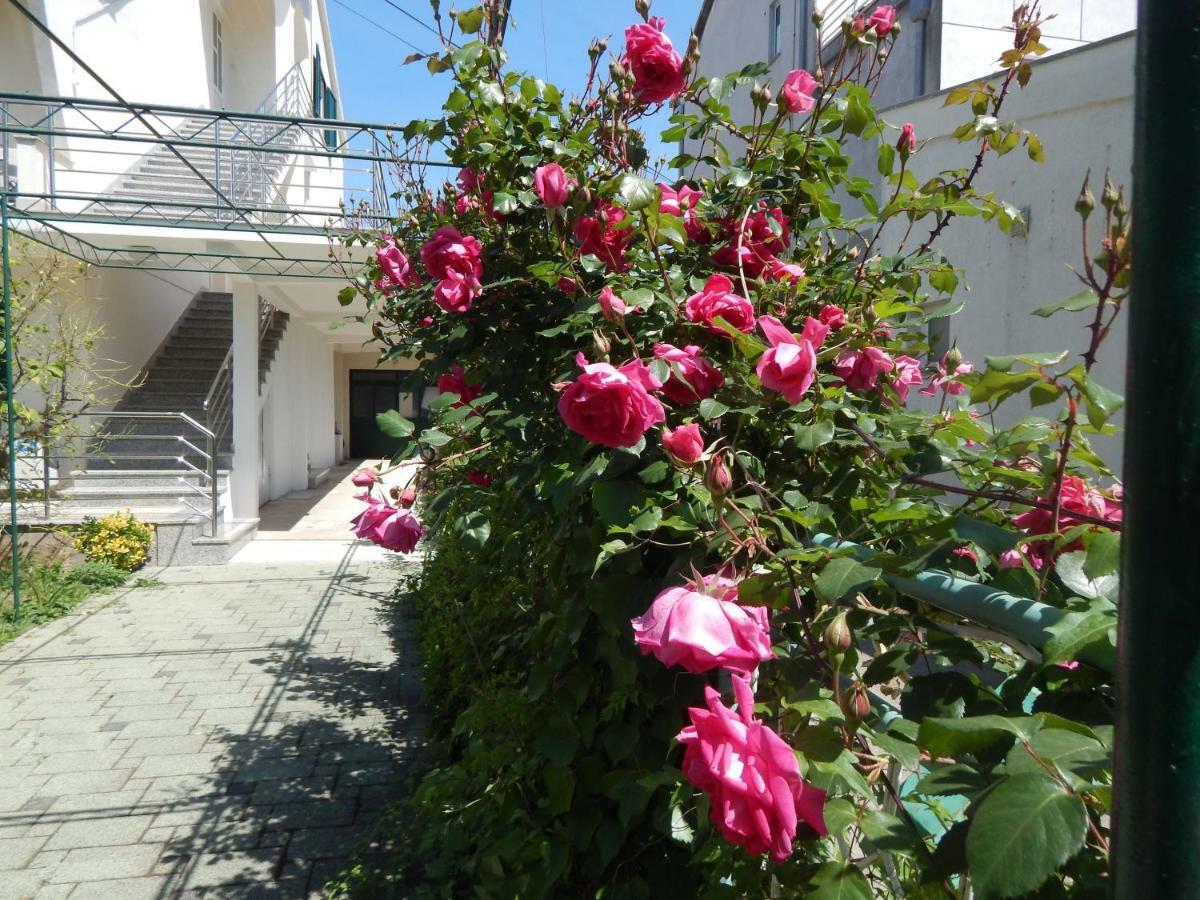 Lemon Tree Apartments Zadar Dış mekan fotoğraf